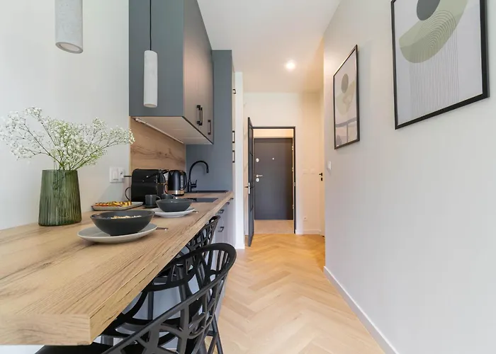 Kato Francuska - Free Parking - Self Check-in * Katowice